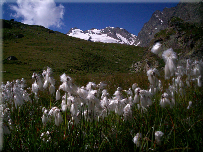 foto Colle della Crosatie